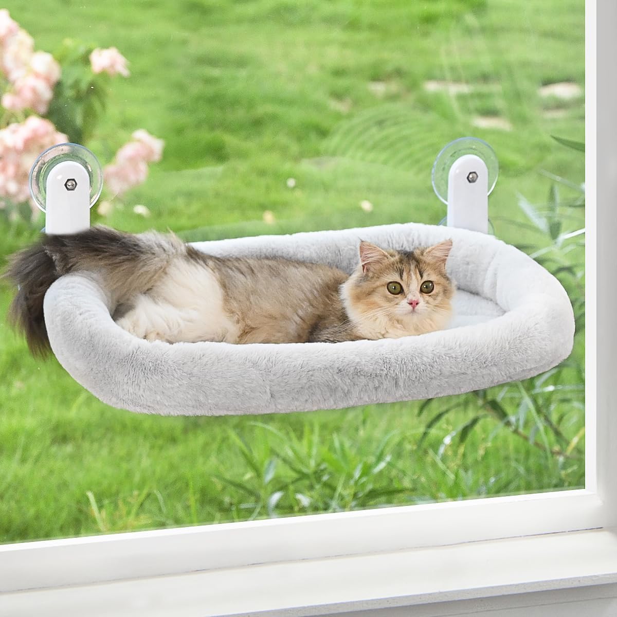 Cat resting in the plush Foldable Cushioned Cat Window Perch