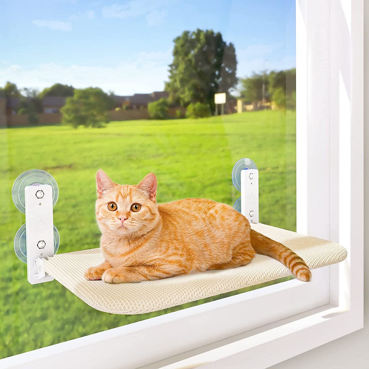 Ginger cat resting on the mesh cover of the Foldable Cat Window Perch